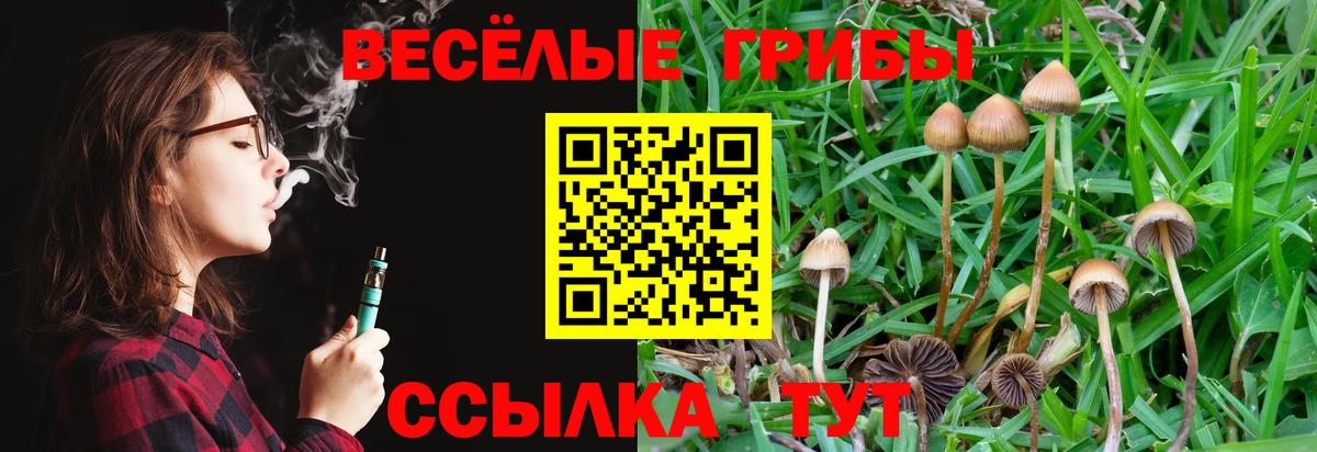 Псилоцибиновые грибы мицелий Ливны