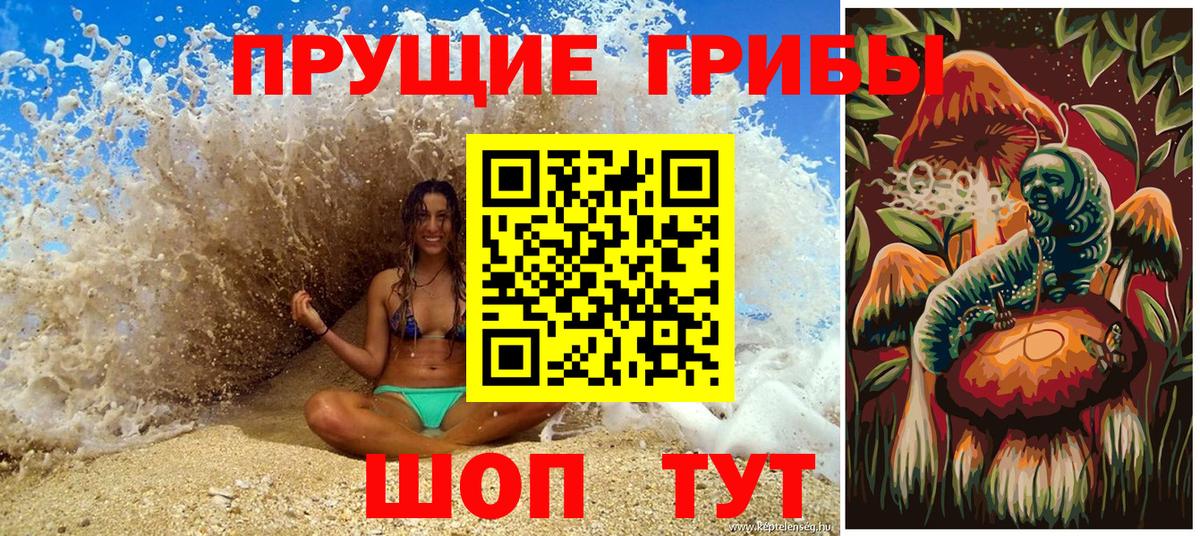 Ливны  Псилоцибиновые грибы Psilocybe  Вход с VPN 